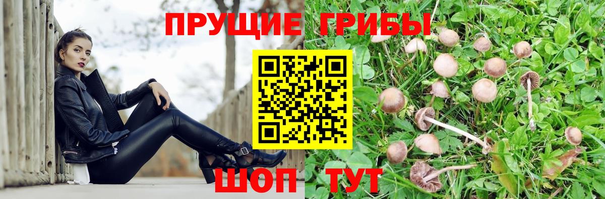 Псилоцибиновые грибы MAGIC MUSHROOMS Сафоново