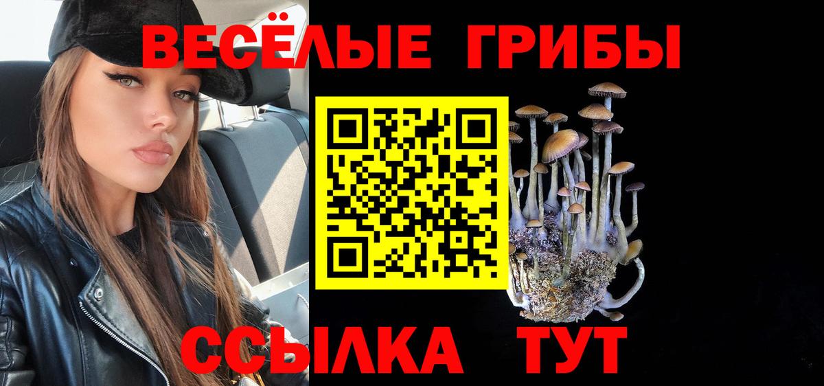 магазин продажи   Вход с VPN  Сафоново  Галлюциногенные грибы мухоморы 